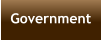 Government