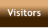Visitors