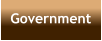 Government