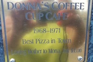 Plaque Sample